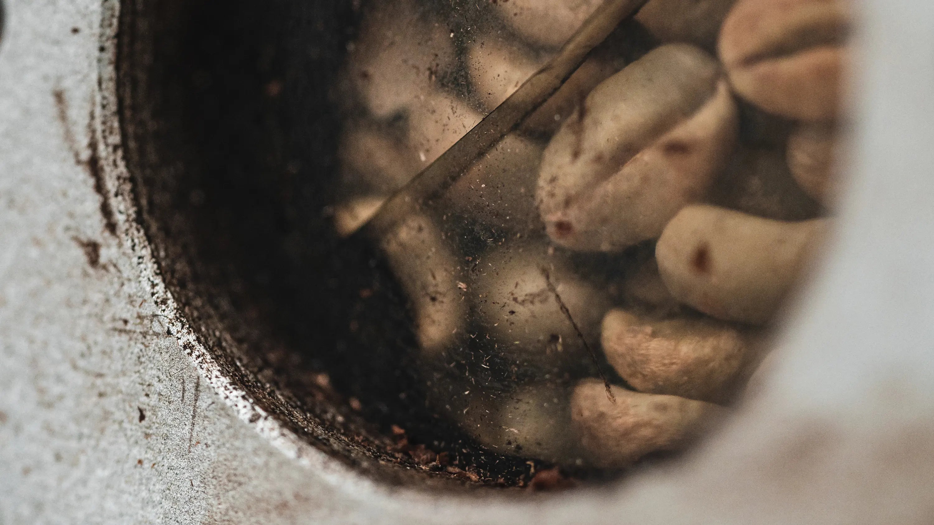Understanding Coffee Fermentation and it's impact