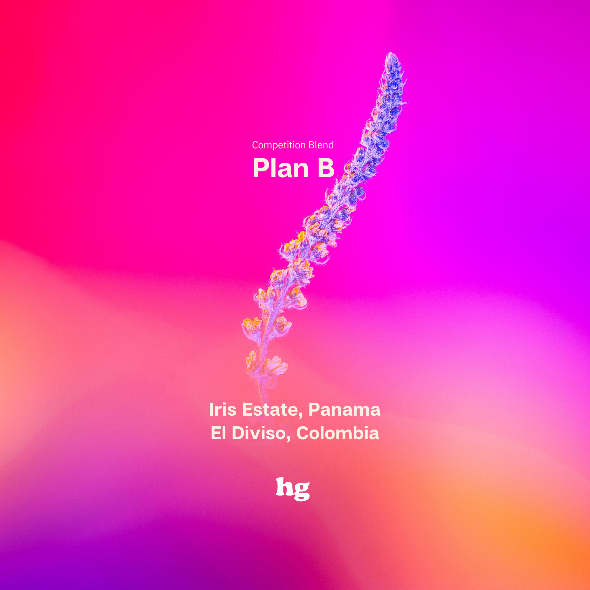 Ho Ming's Competition Blend - Plan B