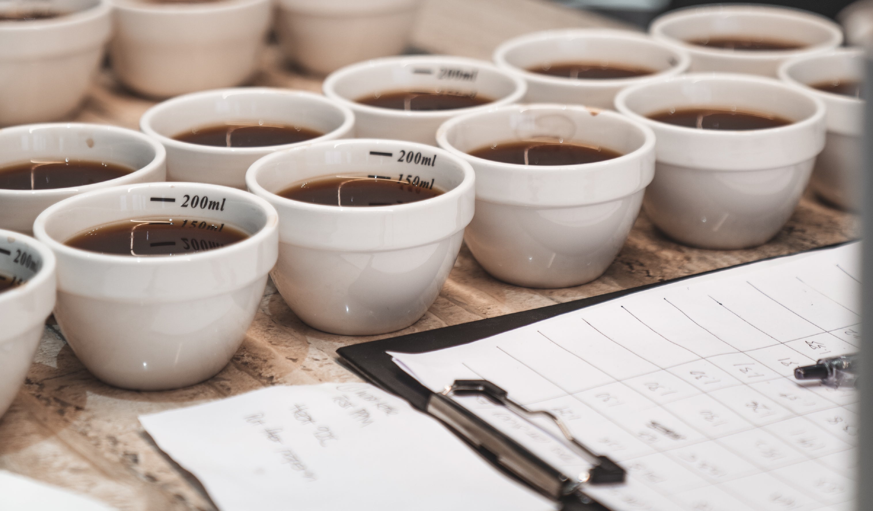 Several white cups filled with coffee are arranged in rows on a table. A clipboard with sheets of paper featuring numbers and notes is positioned in the foreground, suggesting a coffee tasting or cupping session.