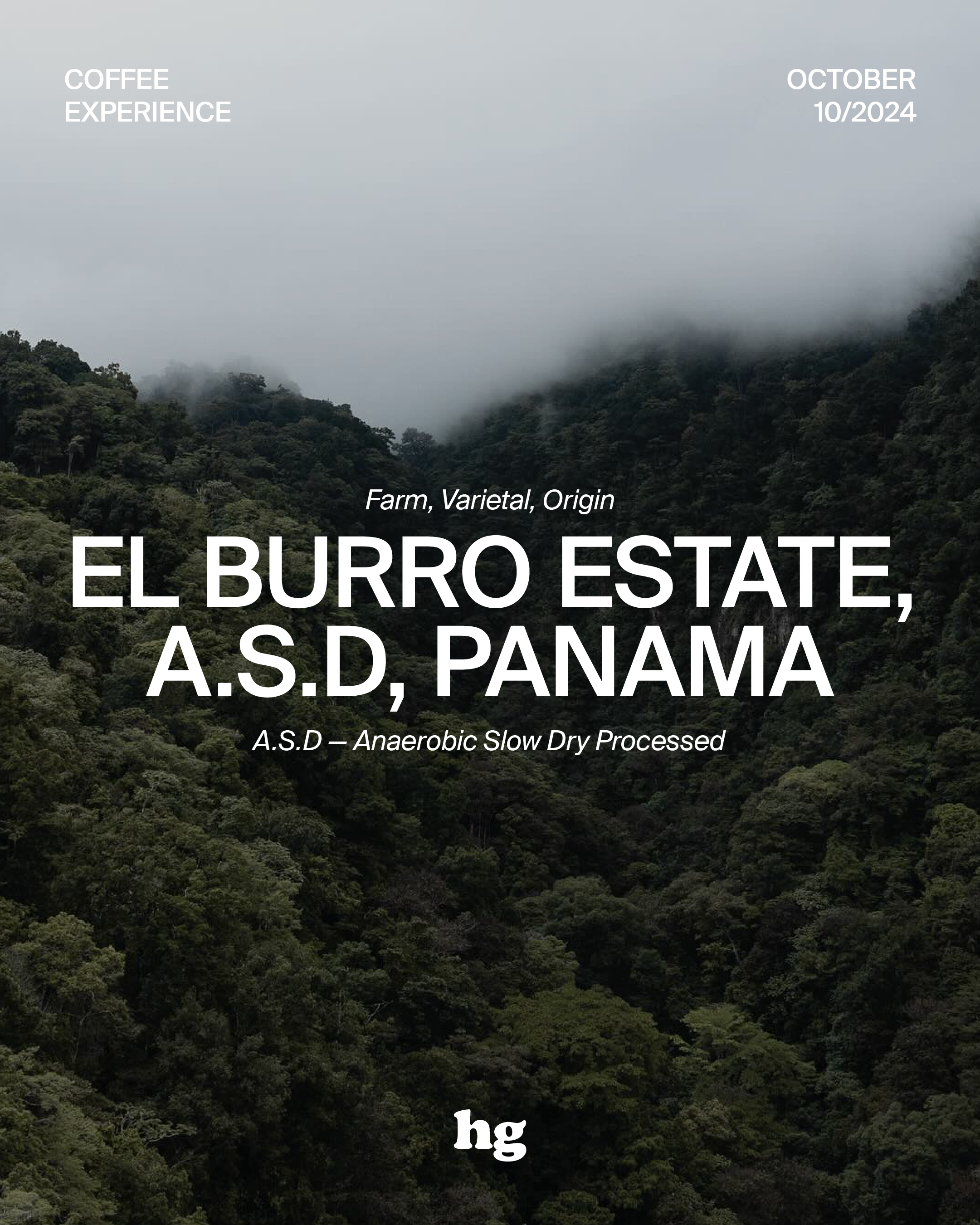 October 2024 Coffee Experience: El Burro Estate, Gesha, Panama