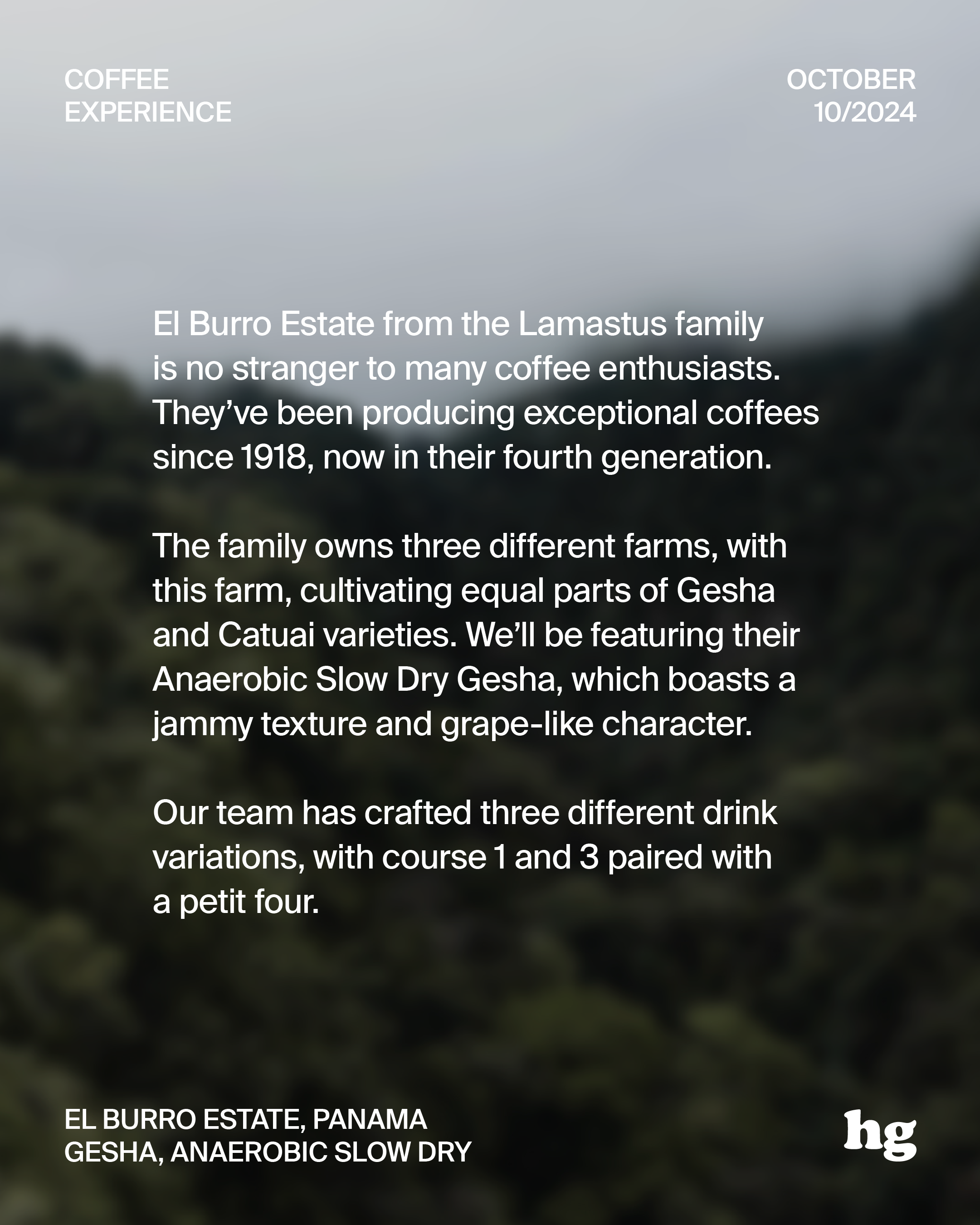 October 2024 Coffee Experience: El Burro Estate, Gesha, Panama