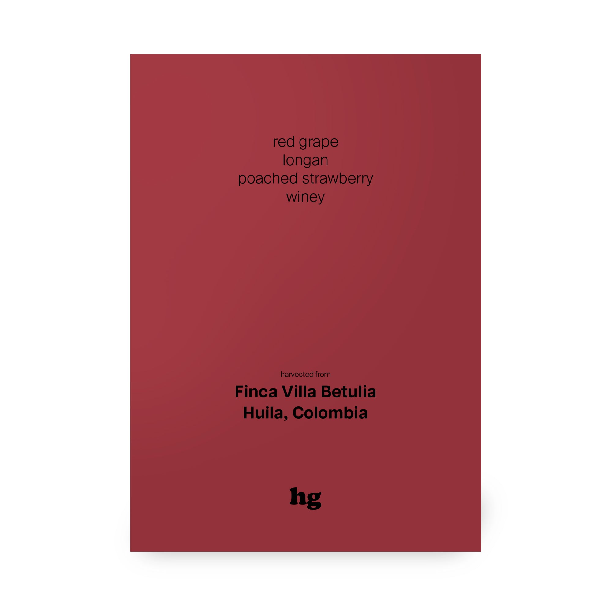 Finca Villa Betulia, Pink Bourbon, Anaerobic Natural, Colombia