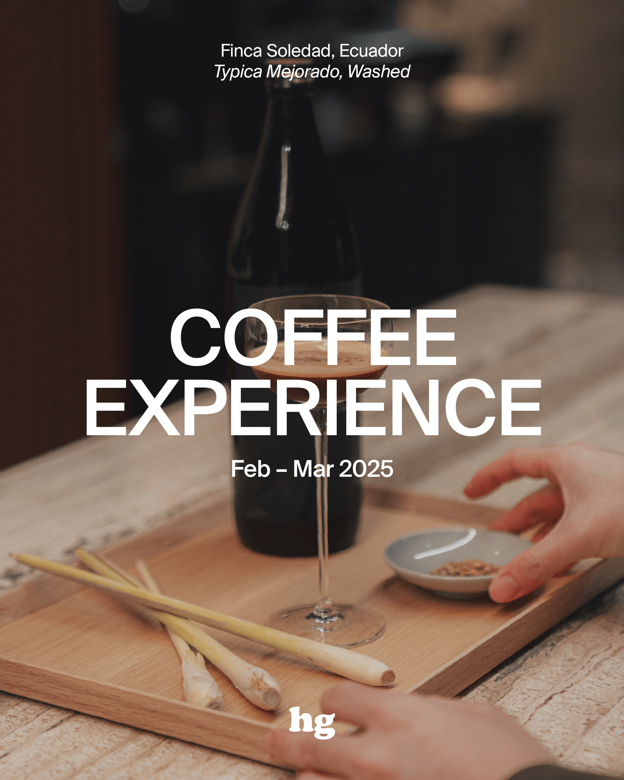 February / March 2025 Coffee Experience: Finca Soledad, Typica Mejorado, Ecuador