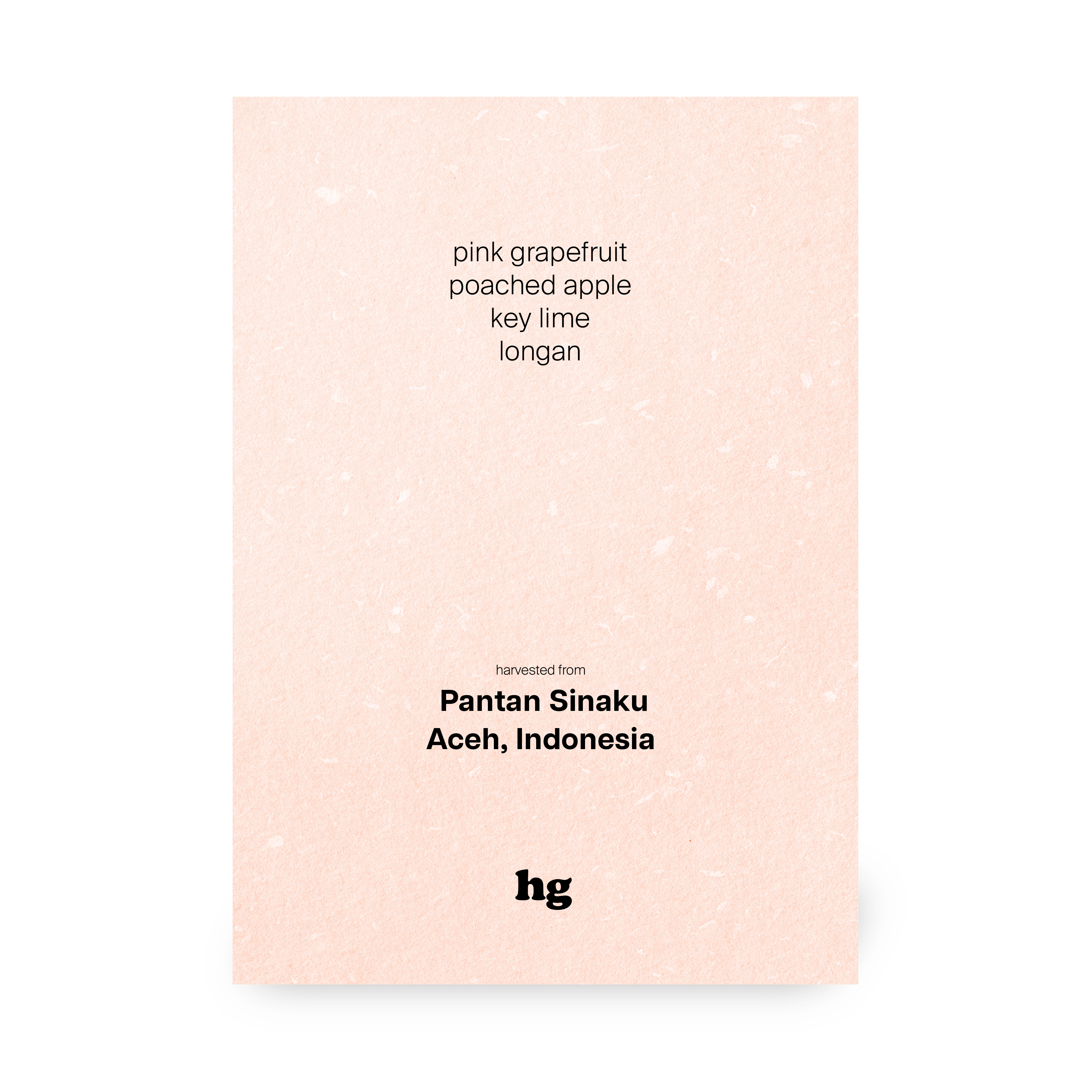 Pantan Sinaku, Ateng Super & Tim-Tim & Bourbon, Anaerobic Natural, Indonesia (In-store)