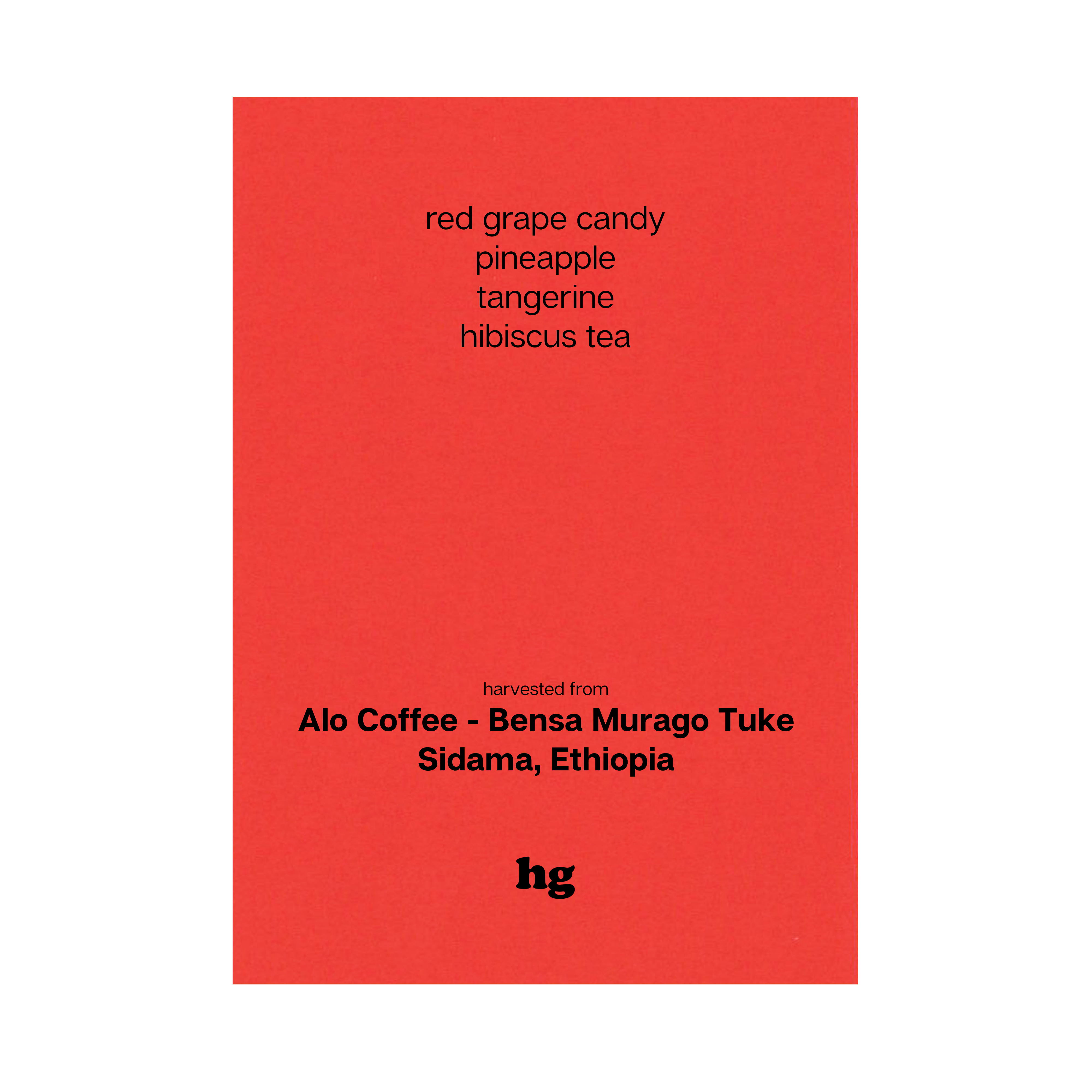 Alo Coffee - Bensa Murago Tuke, Heirloom, Natural, Ethiopia (In-store)