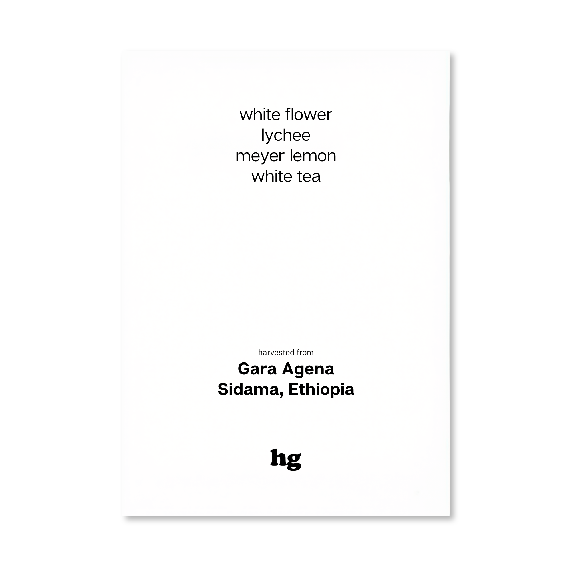 Gara Agena, Heirloom, Washed, Ethiopia (Drip Bag In-store)