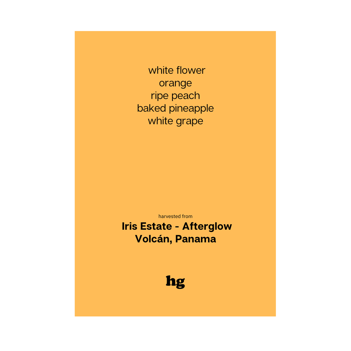 Iris Estate - Afterglow, Gesha, Natural, Panama (In-store)