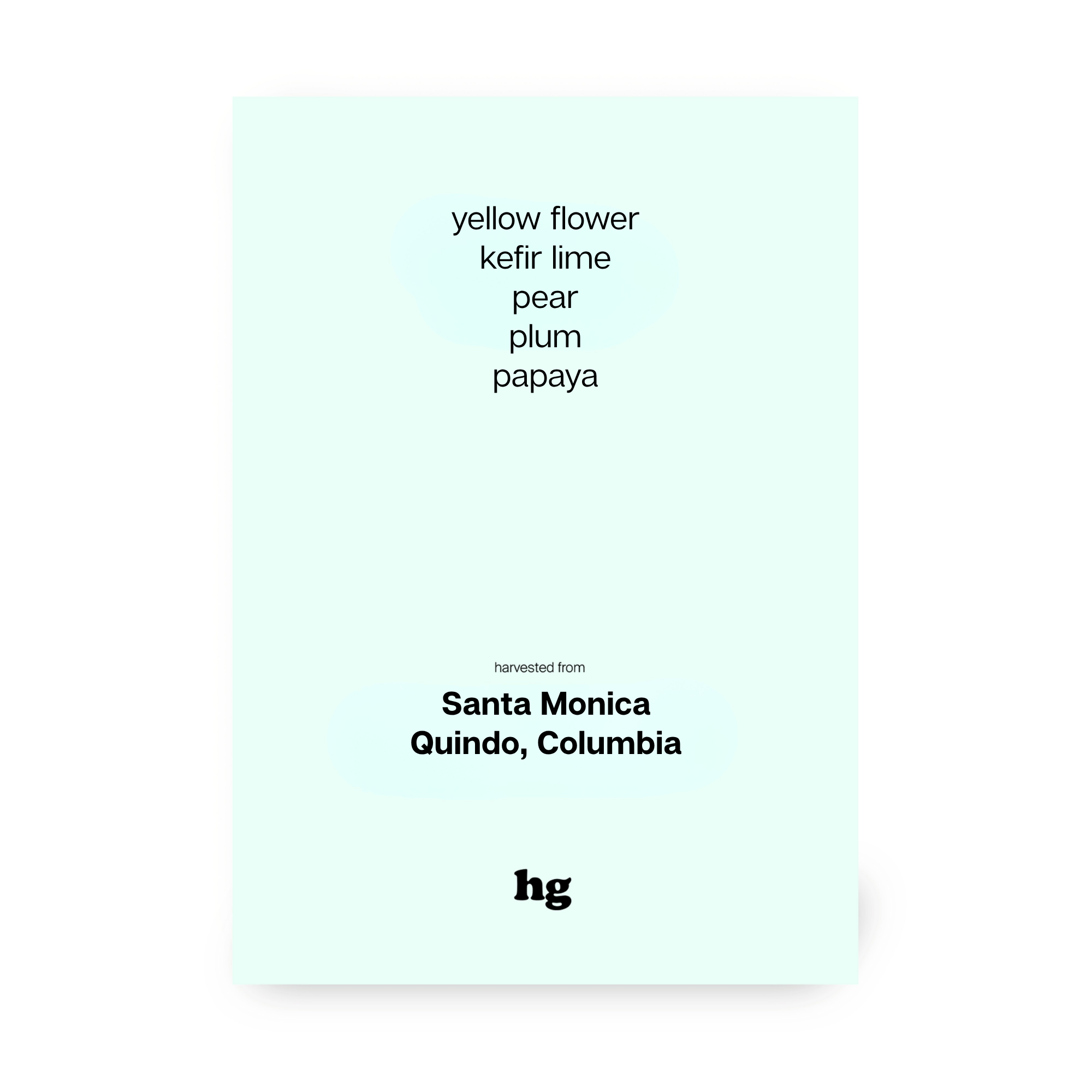 Santa Monica, Pink Bourbon, Washed, Colombia