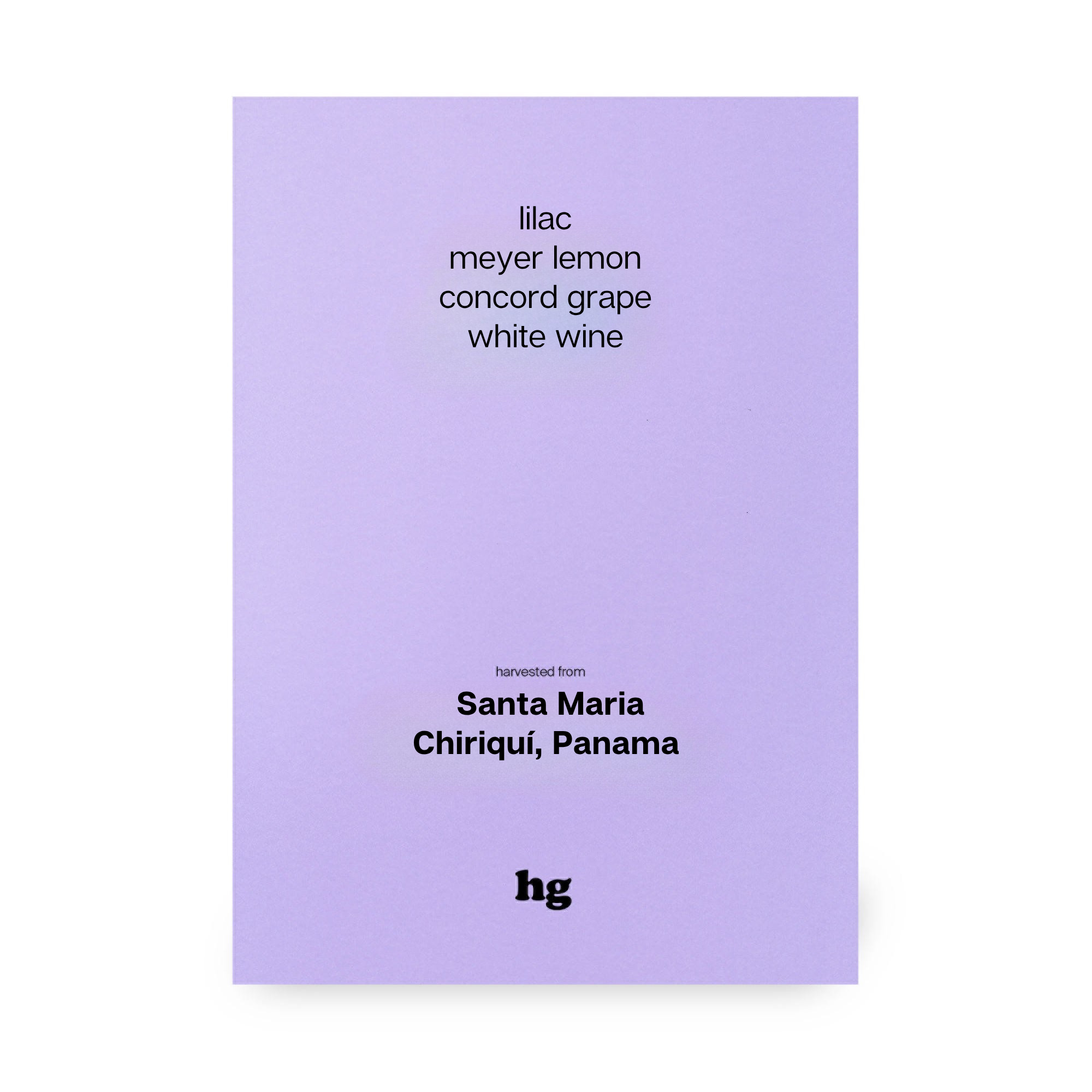 Santa Maria, Gesha, Natural, Panama (In-store)